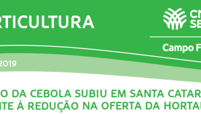 PREÇO DA CEBOLA SUBIU EM SC FRENTE À REDUÇÃO NA OFERTA DE HORTALIÇA