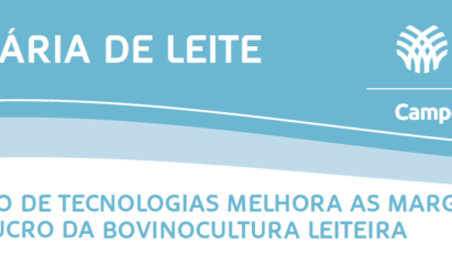 USO DE TECNOLOGIAS E AS MARGENS DE LUCRO DA PRODUÇÃO DE LEITE EM CASTRO-PR