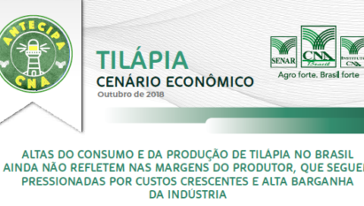 ANTECIPA CNA: ALTAS DO CONSUMO E DA PRODUÇÃO DE TILÁPIA NO BRASIL AINDA NÃO REFLETEM NAS MARGENS DO PRODUTOR, QUE SEGUEM PRESSIONADAS POR CUSTOS E ALTA BARGANHA DA INDÚSTRIA