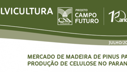 MERCADO DE MADEIRA DE PINUS PARA PRODUÇÃO DE CELULOSE NO PARANÁ