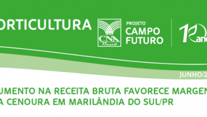 AUMENTO NA RECEITA BRUTA FAVORECE MARGENS DA CENOURA EM MARILÂNDIA DO SUL/PR