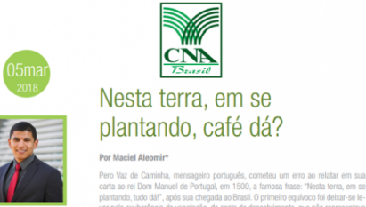 NESTA TERRA, EM SE PLANTANDO, CAFÉ DÁ?