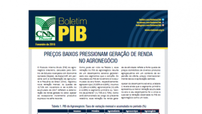 BOLETIM PIB: PREÇOS BAIXOS PRESSIONAM GERAÇÃO DE RENDA NO AGRONEGÓCIO