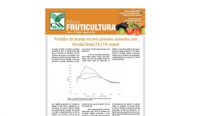 ATIVOS FRUTICULTURA: PRODUTOR DE LARANJA ENCERRA PRIMEIRO SEMESTRE COM RECEITA BRUTA 24,71% MENOR / AGOSTO 2017