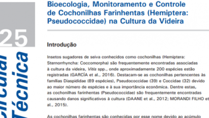 BIOECOLOGIA, MONITORAMENTO E CONTROLE DE COCHONILHAS FARINHENTAS (HEMIPTERA: PSEUDOCOCCIDAE) NA CULTURA DA VIDEIRA.