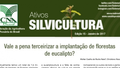 ATIVOS SILVICULTURA: VALE A PENA TERCEIRIZAR A IMPLANTAÇÃO DE FLORESTAS DE EUCALIPTO? / JANEIRO 2017