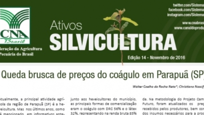 ATIVOS SILVICULTURA: QUEDA BRUSCA DE PREÇOS DO COÁGULO EM PARAPUÃ (SP) / NOVEMBRO 2016