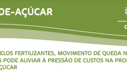 Cana-de-açúcar: Movimento de preços no mercado de insumos para a produção de cana-de-açúcar pode aliviar os custos de produção.