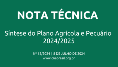SÍNTESE DO PLANO AGRÍCOLA E PECUÁRIO 2024/2025