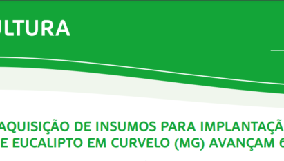 CUSTOS DE AQUISIÇÃO DE INSUMOS PARA IMPLEMENTAÇÃO DE FLORESTA DE EUCALIPTO DE CURVELO (MG) AVANÇAM 62%