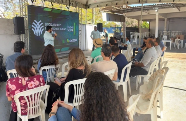Campo Futuro promove Dia de Mercado de mogno africano em Minas Gerais