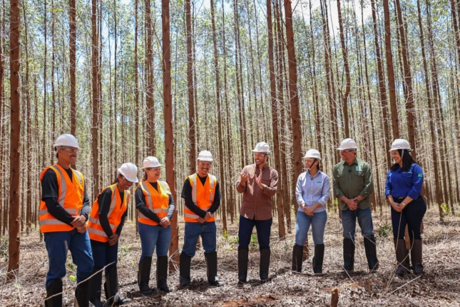 Mestres do Agro estreia hoje no YouTube do Sistema Famasul como o primeiro reality show do agronegócio brasileiro