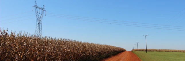 Sistema FAEP apoia PL que repara produtor rural por perdas decorrentes da falta de energia elétrica