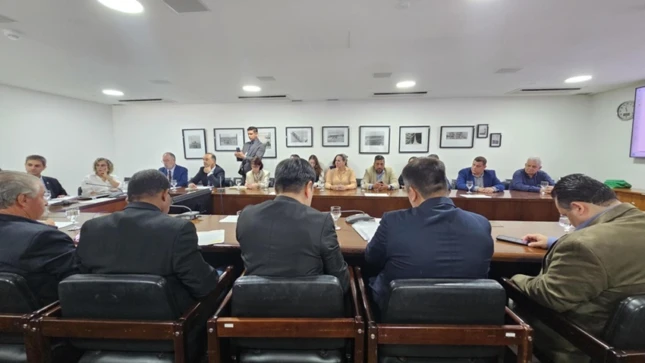 Setor produtivo discute impactos de importação de banana do Equador