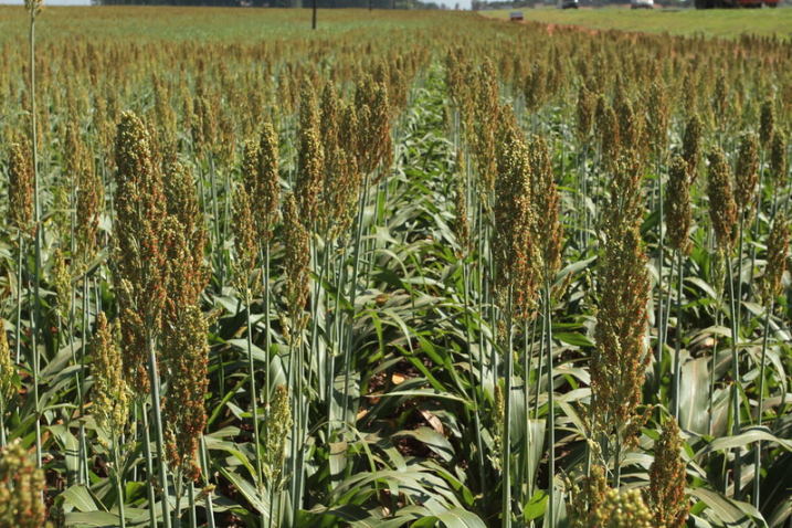 25513897037 afa3fb64db c