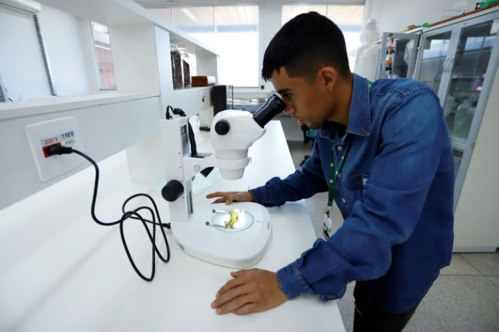 TECNICOAGROPECUARIO web