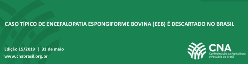 Captura de Tela 2019 05 31 as 19 11 411