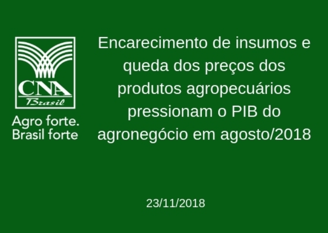 COMUNICADO TECNICO pib1