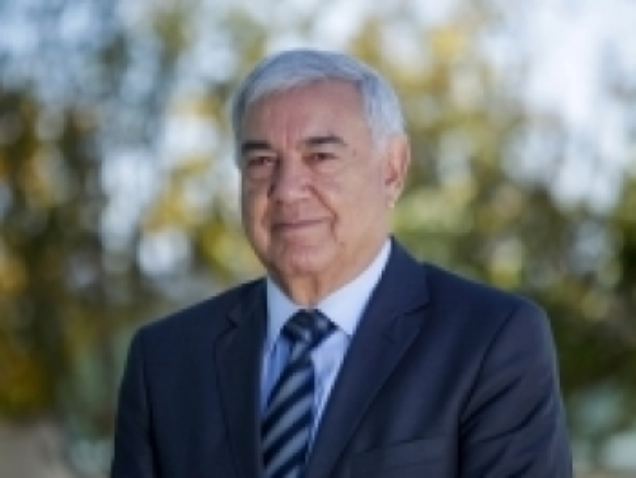 15 0 130638002015392941911