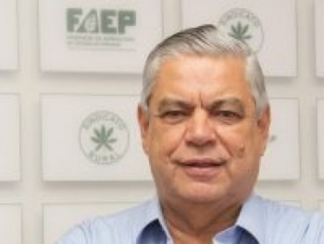 Agide meneguette 255x300 0 090837002015145450031