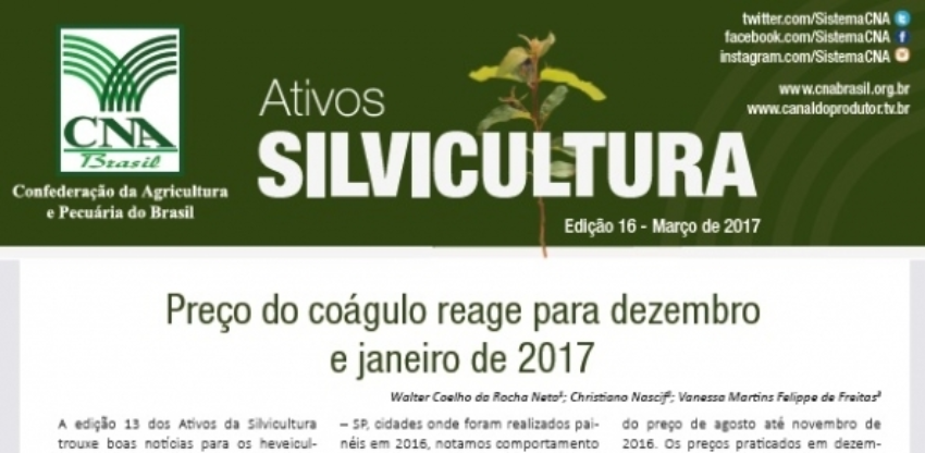 Ativos silvicultura 1 0 261333002015149169941