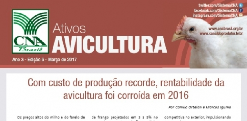 Ativos aves 0 672045002015149169941