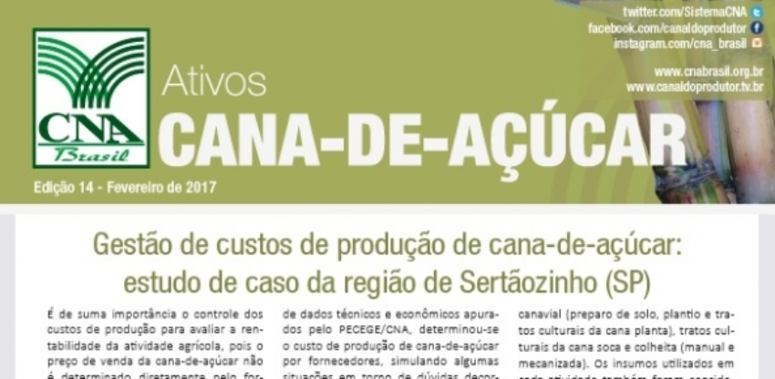 Cana de acucar 0 990369002015149169881