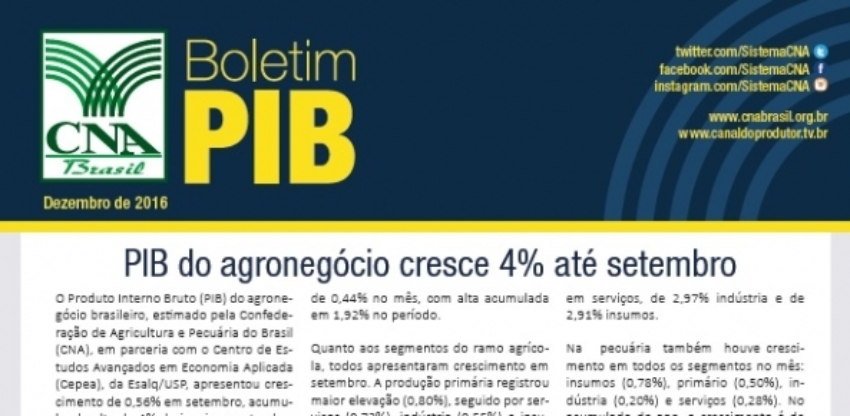 Boletim pib 0 897877002015149169891