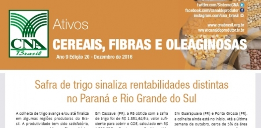 Ativos cereais 0 104827002015149169881