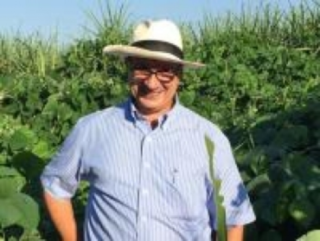 Pedro jacob christoffoleti 0 521510002015145450201