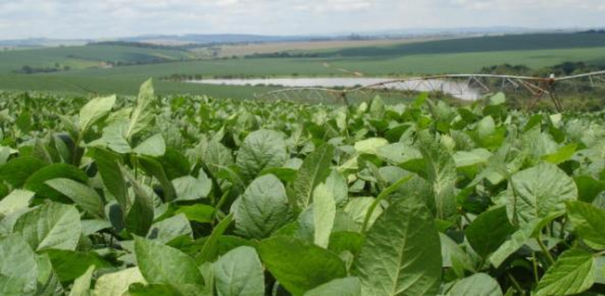 Soja irrigadafoto por paulo ernani peres ferreira 0 670138002015149182171