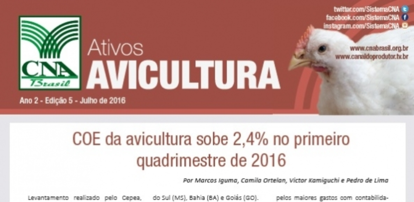 Avicultura 0 535552002015149169861