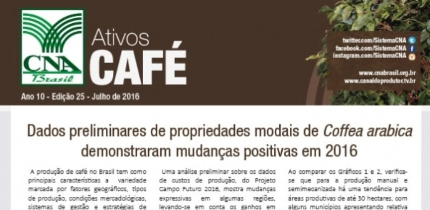 Ativos cafe 0 376807002015149169861