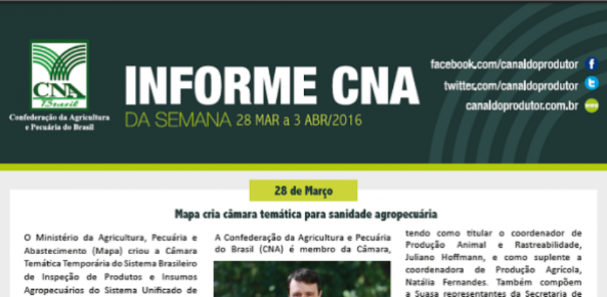 Informe 0 921636002015149169721