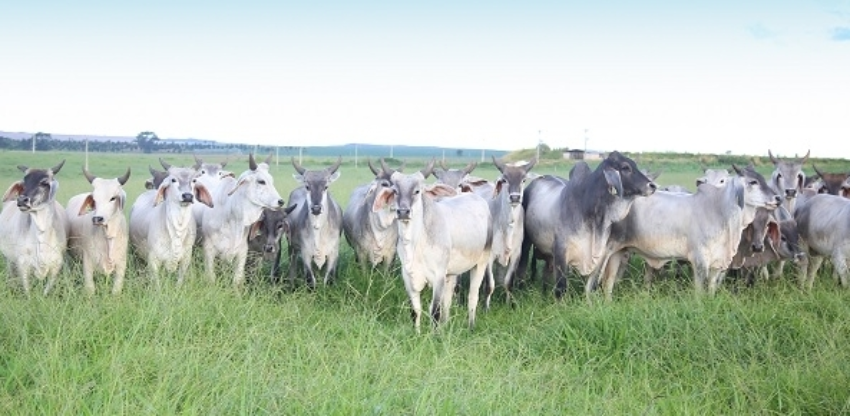 Img 5940 0 394473002015283404931