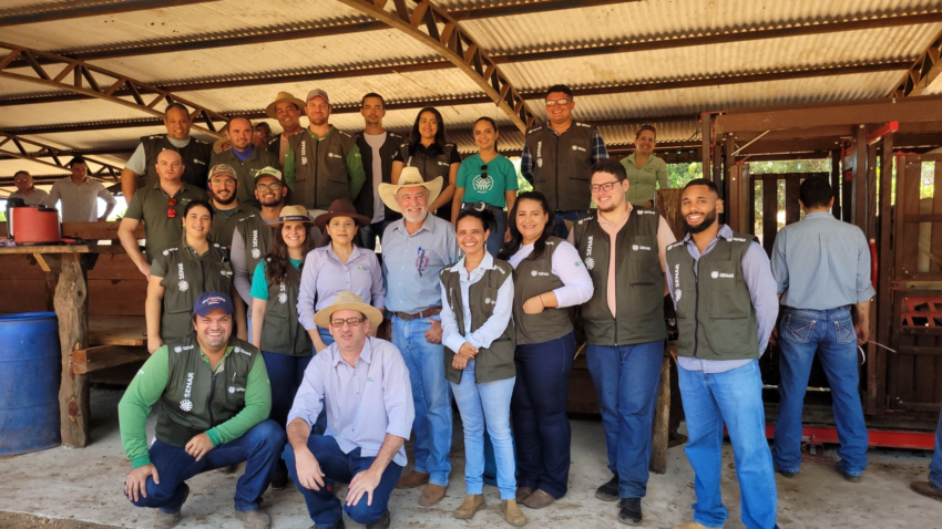 DIA DE CAMPO SILVANOPOLIS