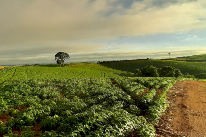 MARCIO ROGERIO PRECYBELOVICZ
