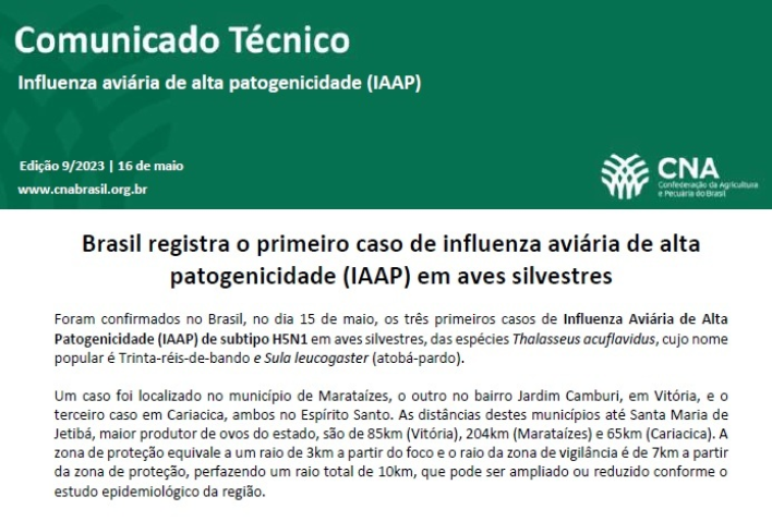 Comunicado tecnico influenza