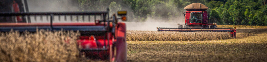 Pp instituto ID Agro01