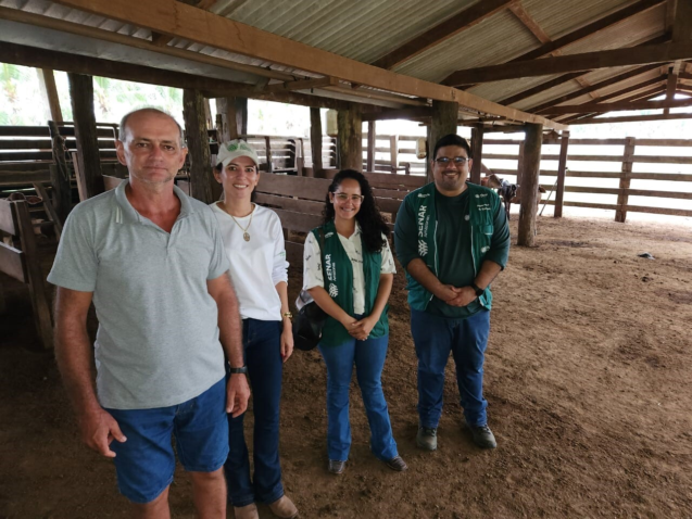 SUPERVISAO 6 vale este