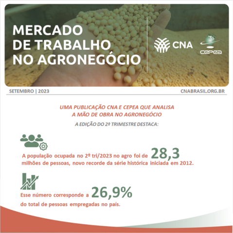 Card MDO edicao2 ago materia