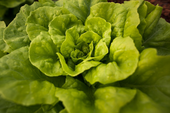 49099896011 9994d1b520 c