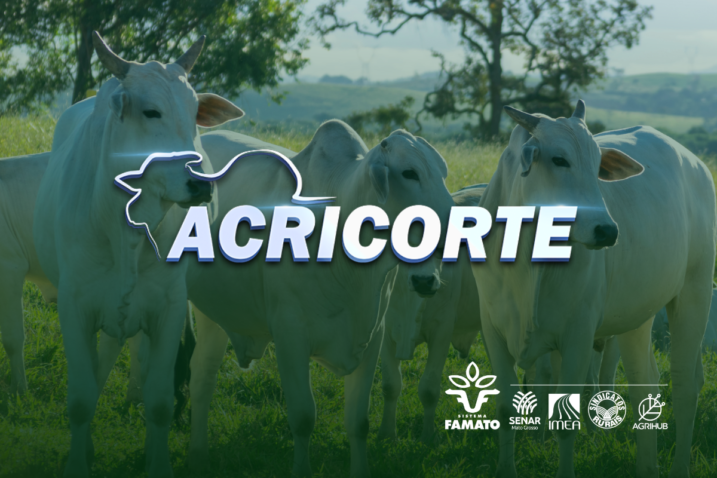 16 e 17 de maio de 2024 1 1