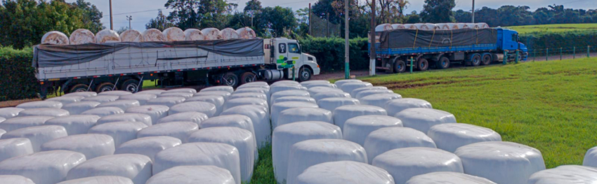 CNA IMAGEM PRINCIPAL 22