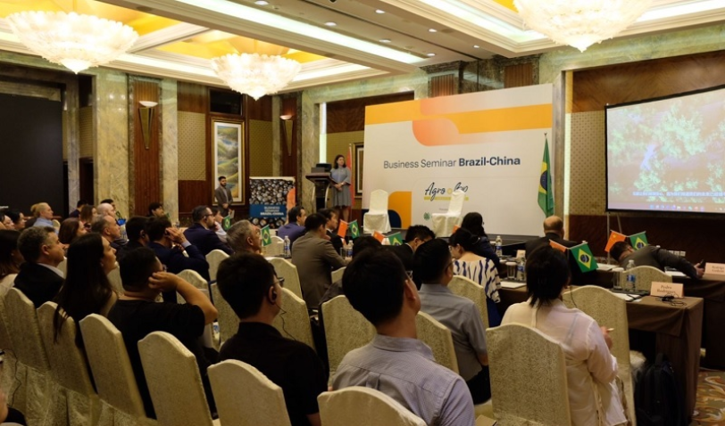 Seminario brasil china