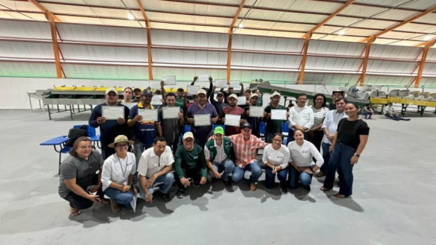 TREINAMENTO DE OPERACAO DE TRATORES AGRICOLAS