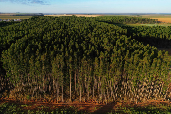 53807086800 0bb4e1b7ed c