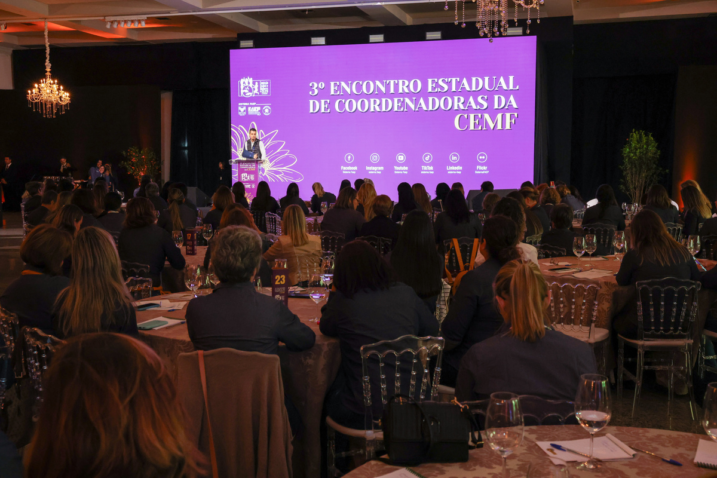 Encontro coordenadoras CEMF