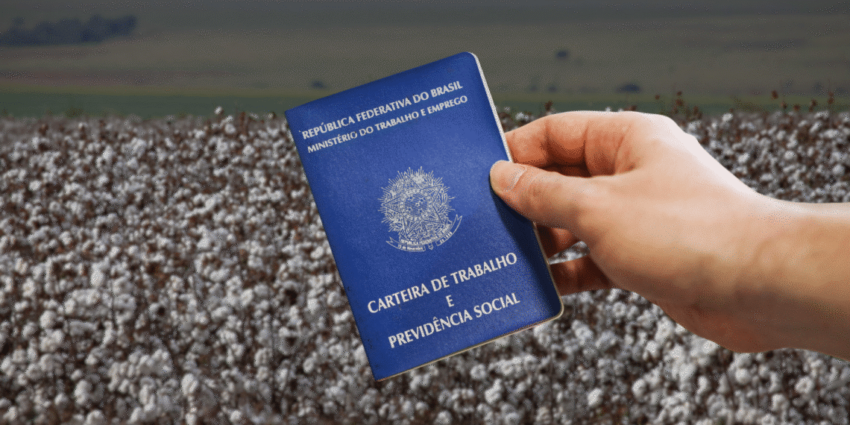 Empregos no agro baiano batem recorde historico pelo segundo mes seguido 1140x570