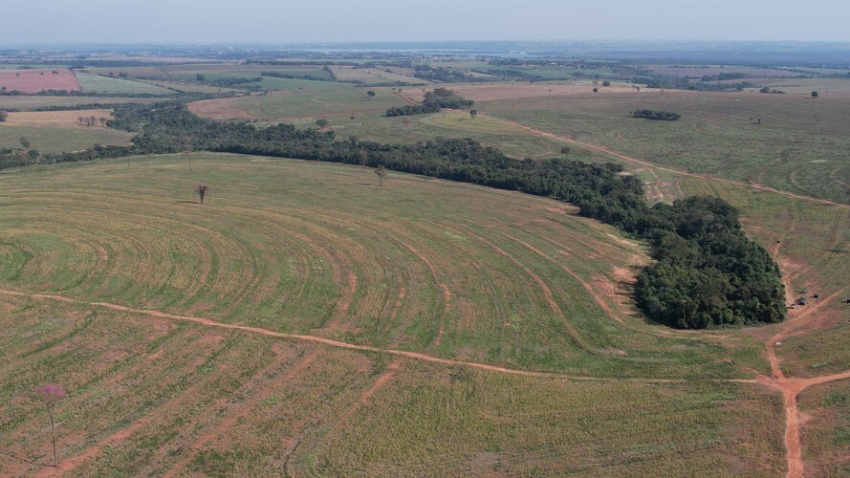 Invasao de terras guaira site